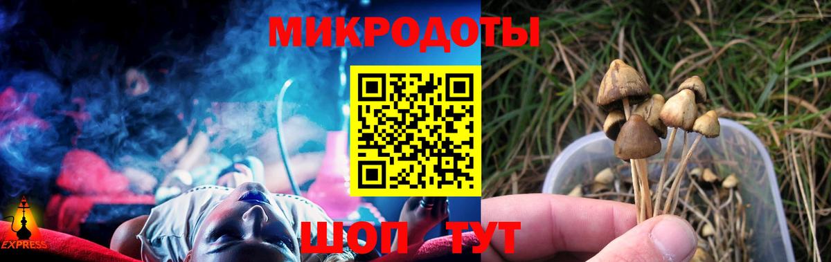 Псилоцибиновые грибы Cubensis  Вход с VPN  Петропавловск-Камчатский 